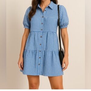 Speed Limit MPN Blue Gingham Button-Front Dress – Size Large